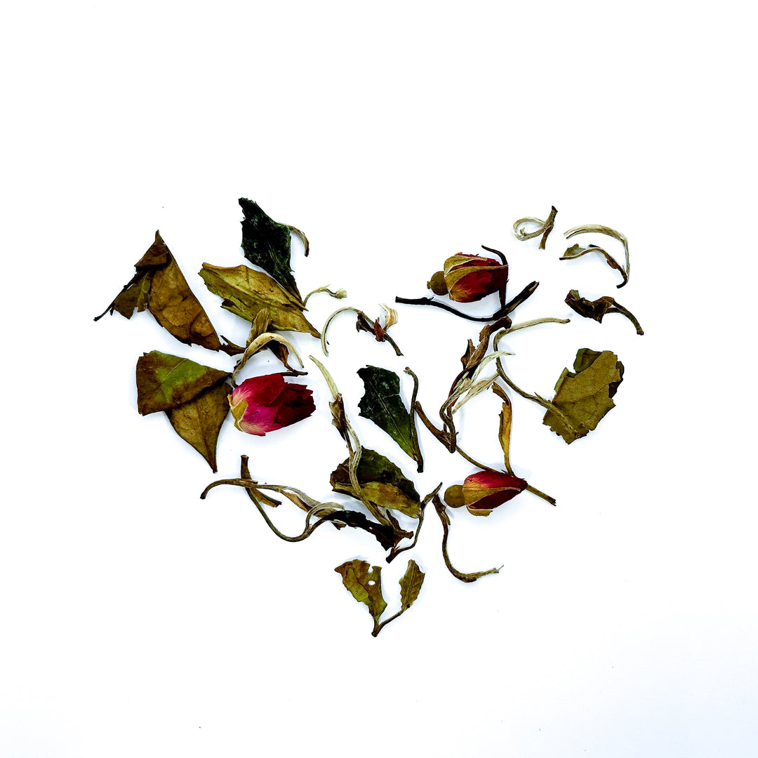 Bai Mu Dan Rose