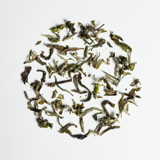 Namring Zenith - Darjeeling First Flush 2026 - The Tea Centre of Stockholm