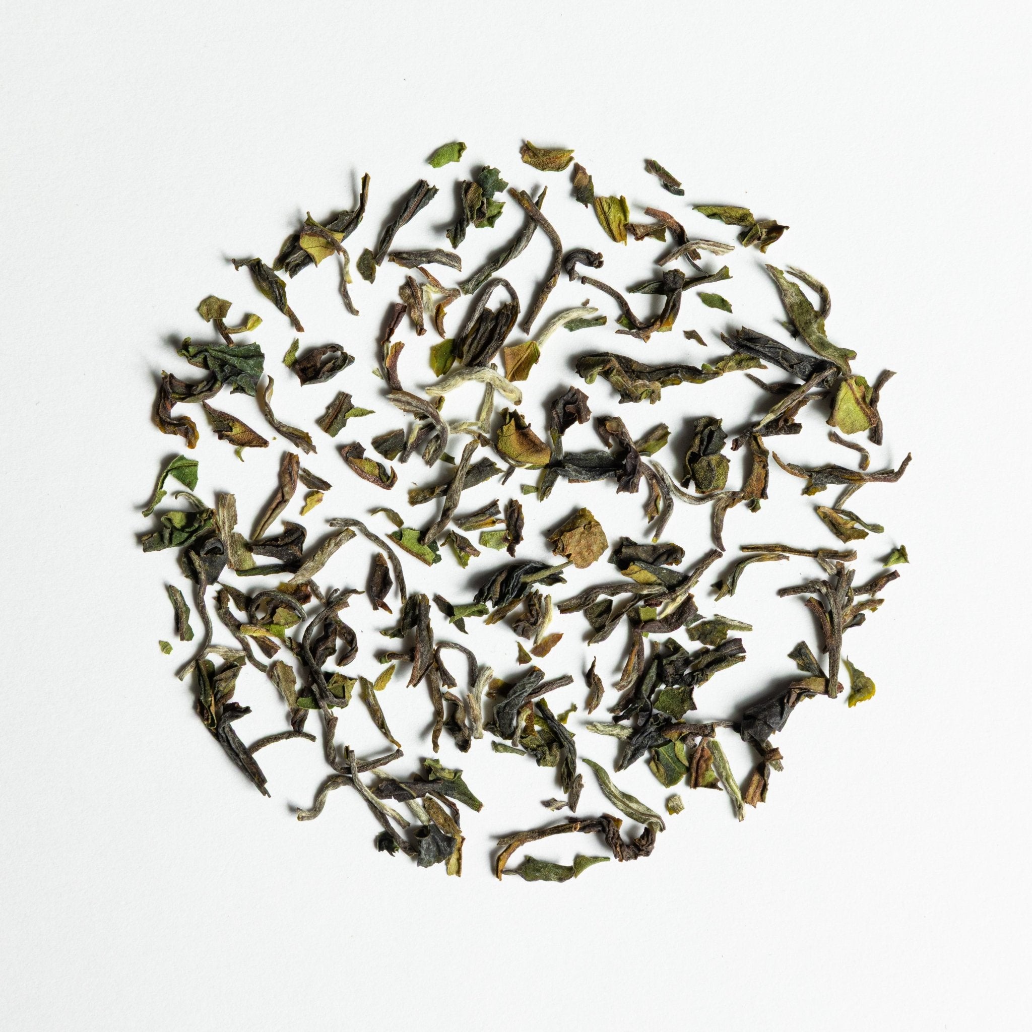 Darjeeling First Flush 2025 - The Tea Centre of Stockholm