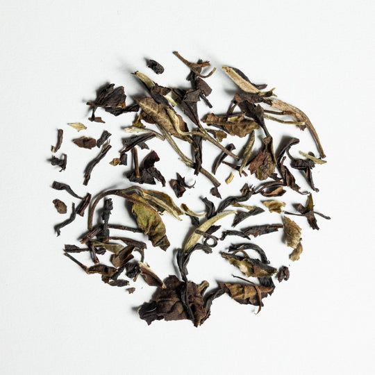 Yue Guang Bai "Silver Moonlight" EKO - The Tea Centre of Stockholm